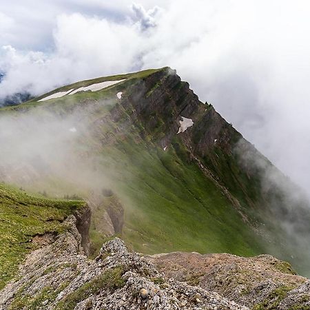 Grünes Allgäu Opfenbach Exterior foto